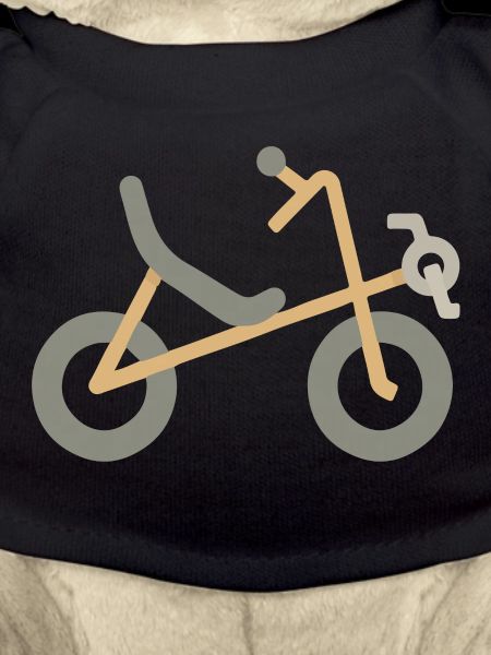 Recumbent Bicycle