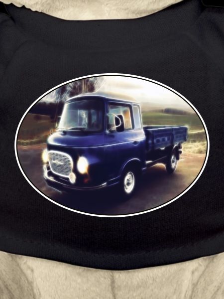 Barkas B1000