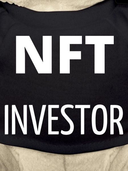 NFT-Investor