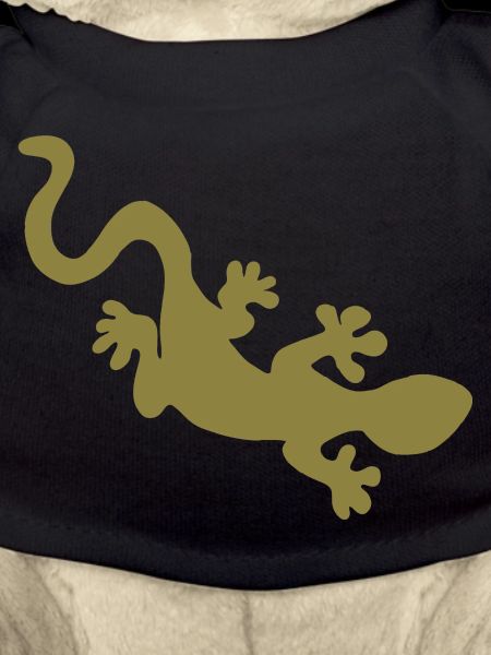Gecko
