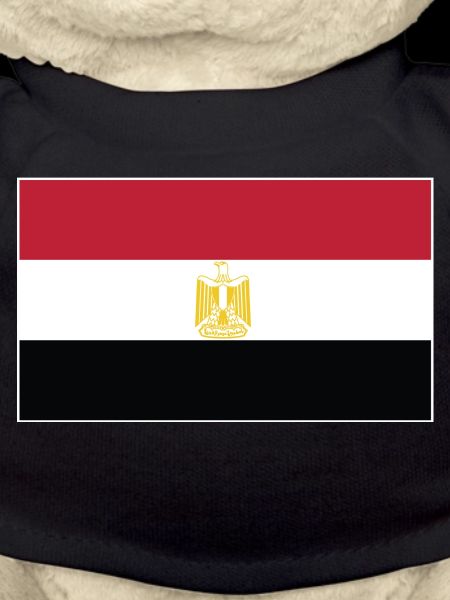 Egypt Flag