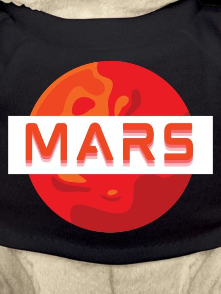 Mission MARS!