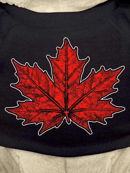 Maple / Leaf