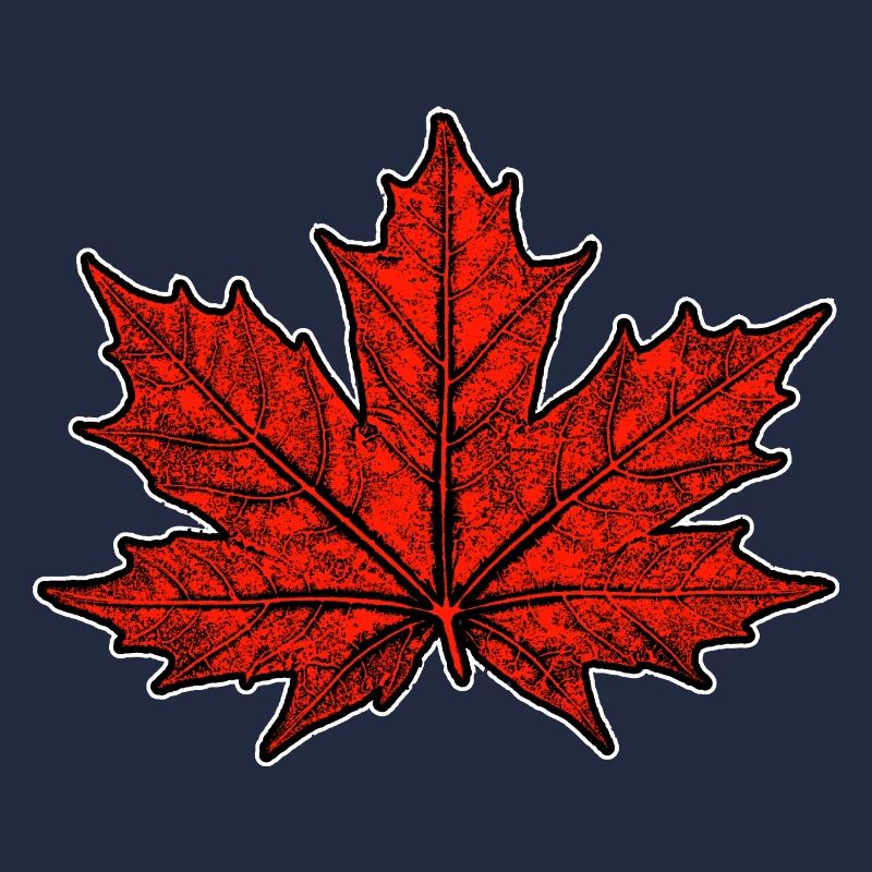 Érable / Feuille