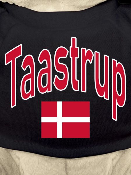 Taastrup Denmark flag