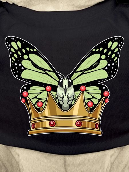 Schmetterling Krone