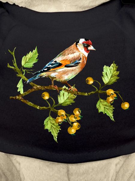Bunter Vogel