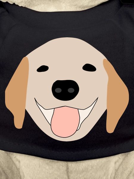 Golden Retriever 1