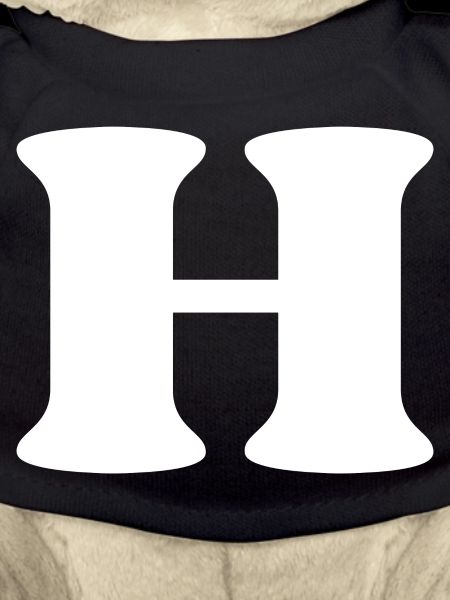 Lettre h