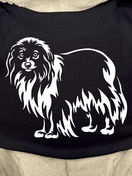 Phalène "Black Edition"