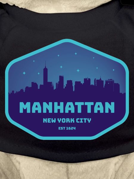 Manhattan NYC