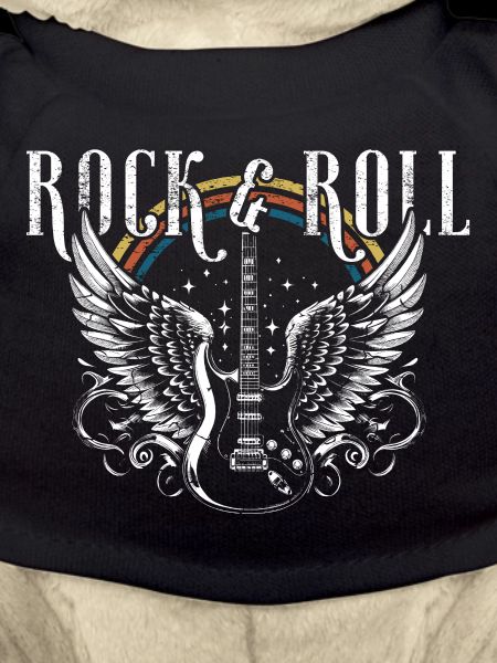 Rock & Roll Guitar