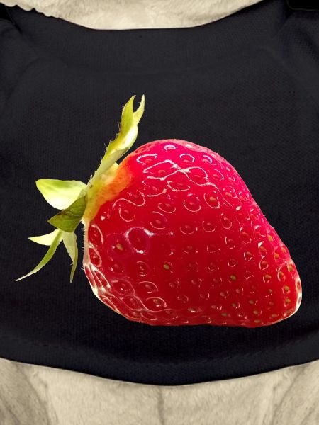 FRAISE
