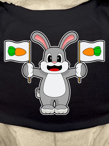 Rabbit Carrot