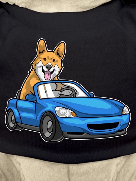 Voiture Corgi