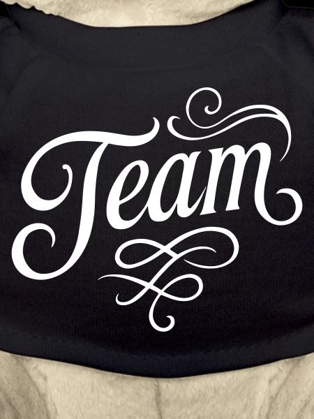 Team Elegant