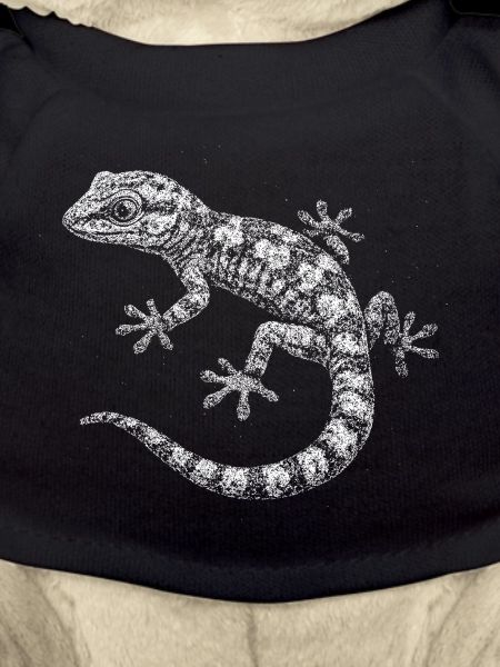 A gecko