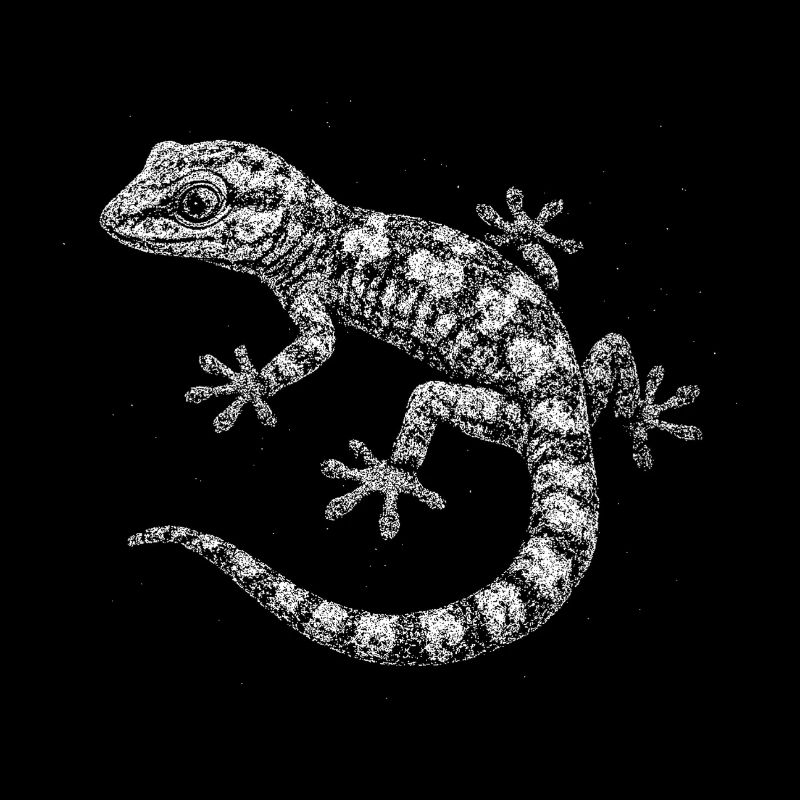 Ein Gecko