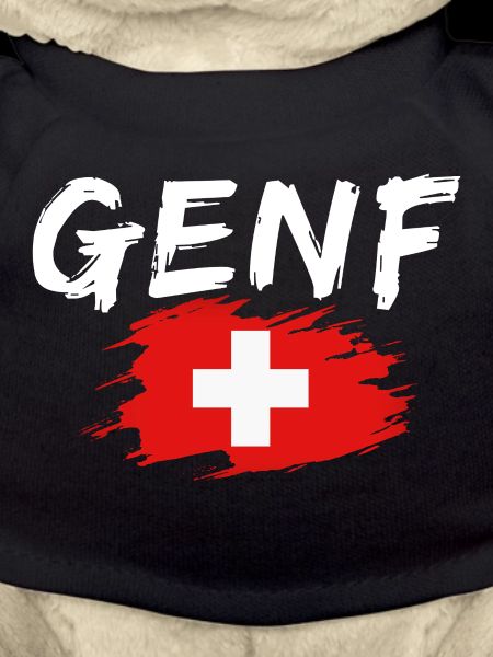 Geneva Flag Switzerland