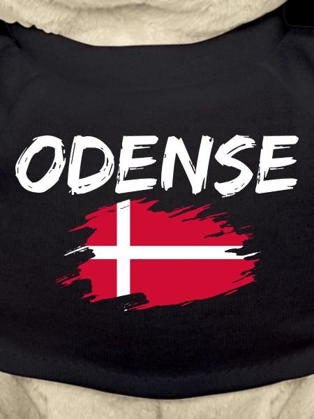 Odense Dänemark