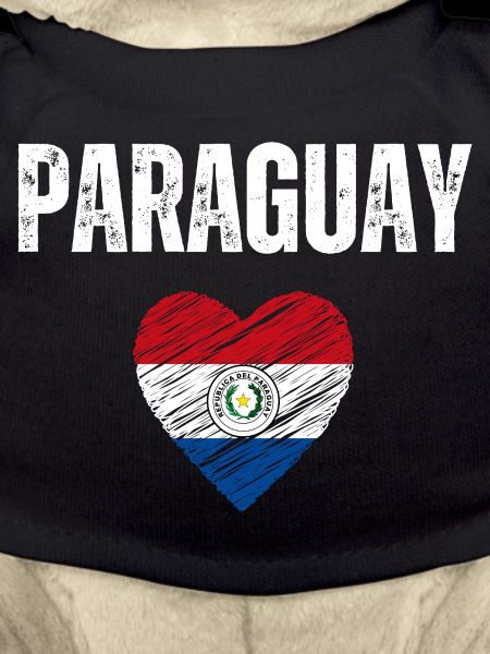 J’aime le Paraguay, drapeau du Paraguay