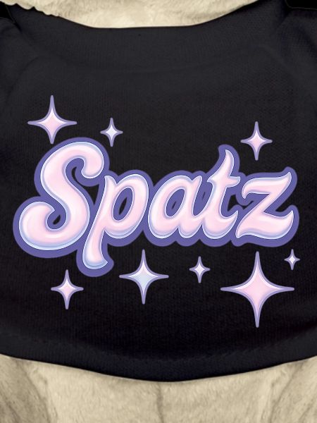 Spatz / Y2K Design