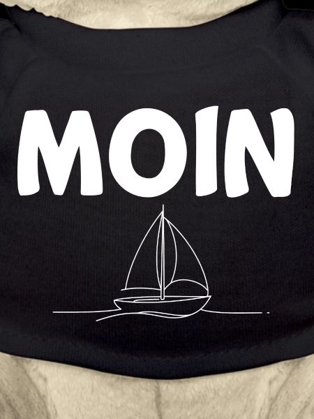 Moin Sailboat
