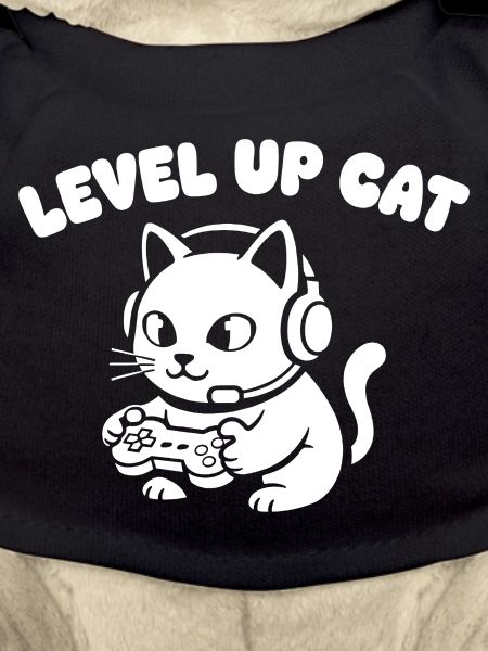 Level Up Cat Gaming