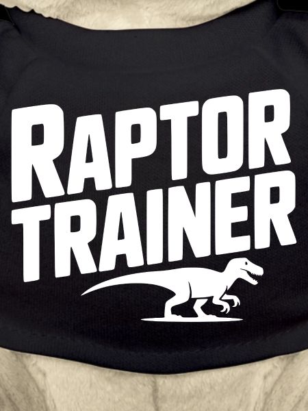 Raptor Trainer