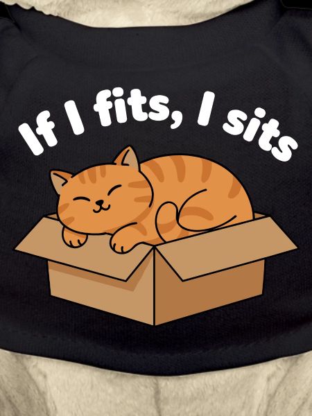 Cat Purr in Cardboard Meme