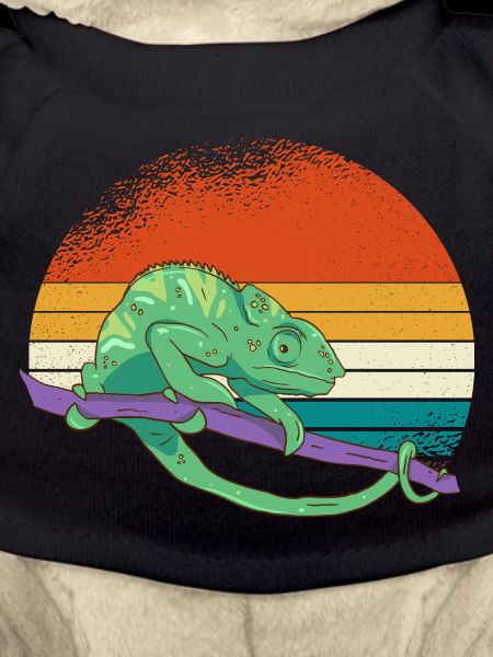 Sunset Chameleon