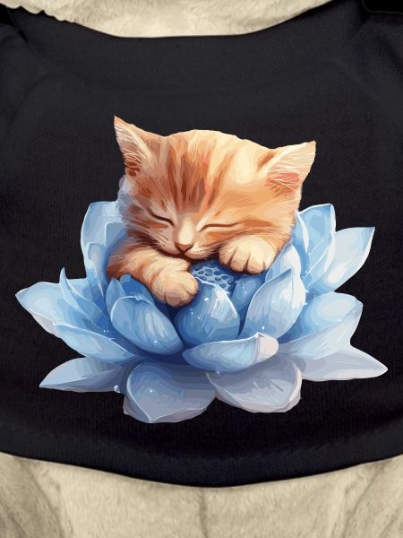 Kitten resting on blue succulents