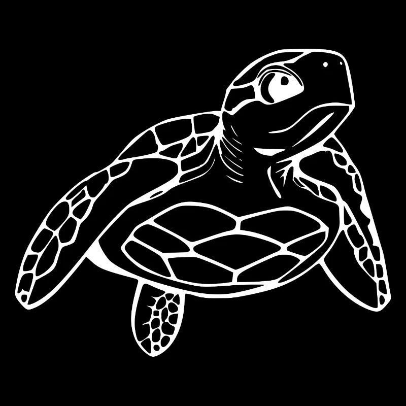 Tortue Tortues