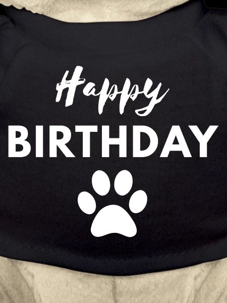 Happy Birthday dog
