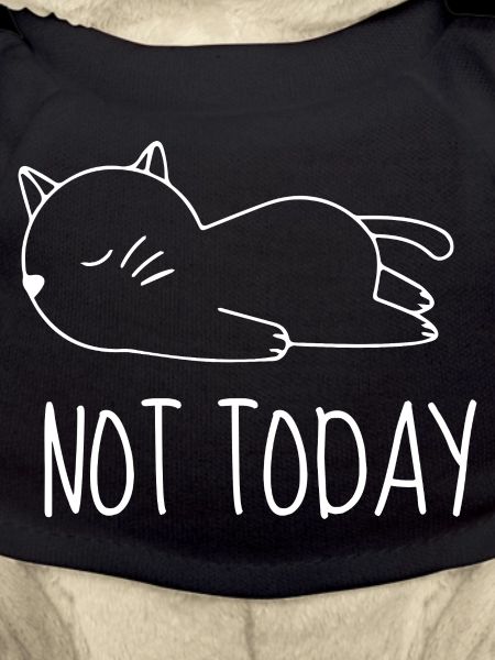 Not today chat humour
