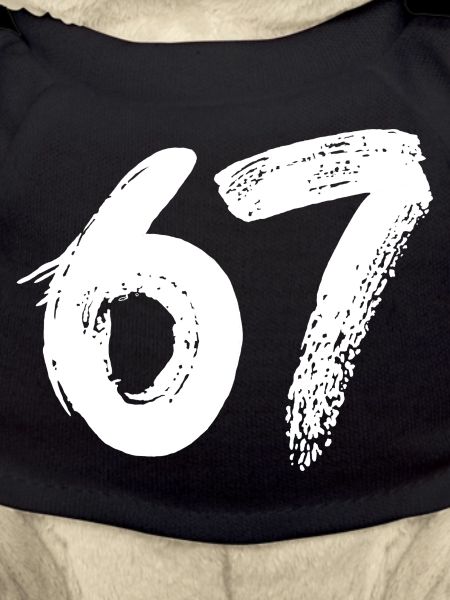 67 White Paint