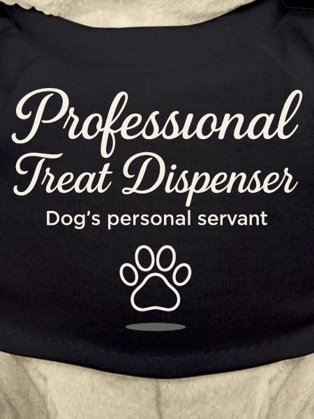 Professional treat dispenser dog servant