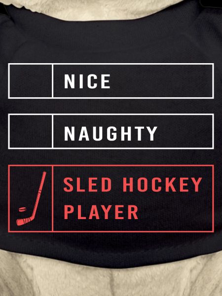 Para Handicap Eishockey