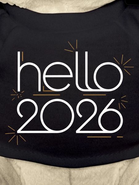 Hello 2026 Neon Fireworks