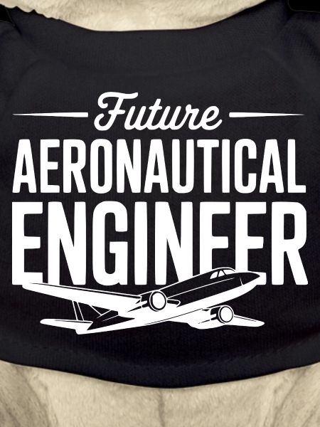 Future Aeronautical Engineer