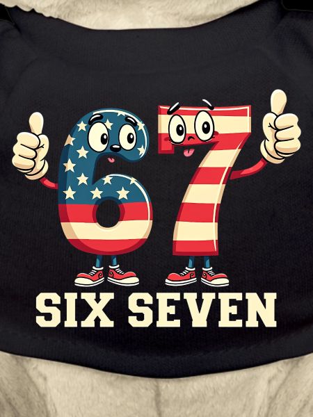 US Flag 67 Memes Six Seven