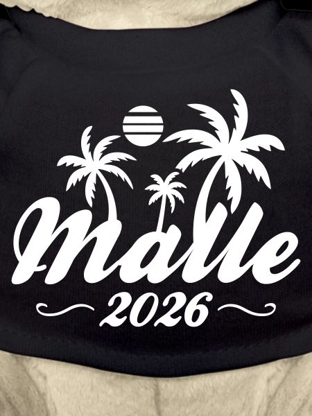 Malle 2026 Palm Trees Beach