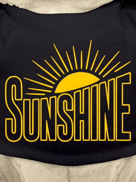 Sunbeam Sunshine Logo