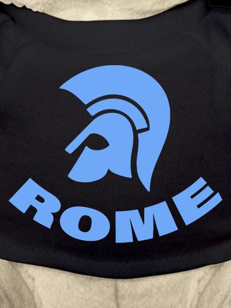 ROME