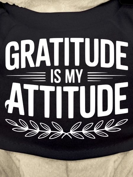 Gratitude is My Attitude