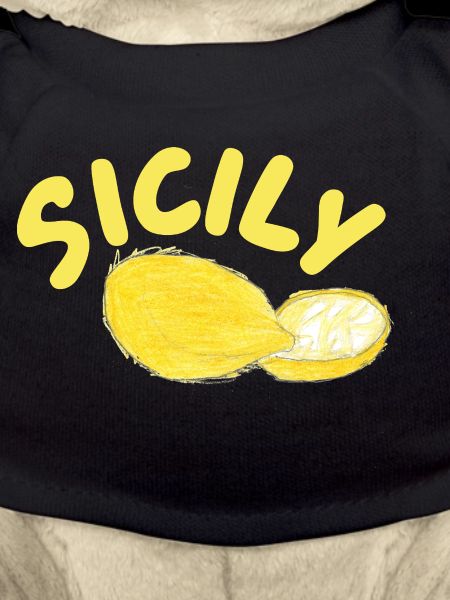 Sicily Lemons Illustration - Sicily