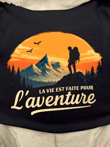 Aventure au sommet