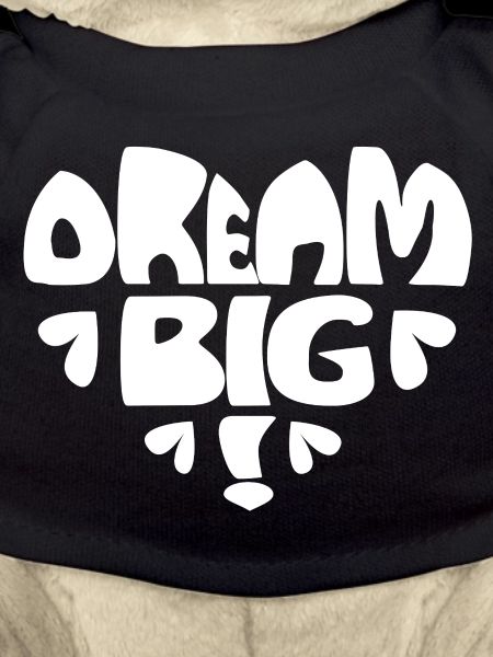 Dream Big! white