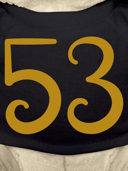 53