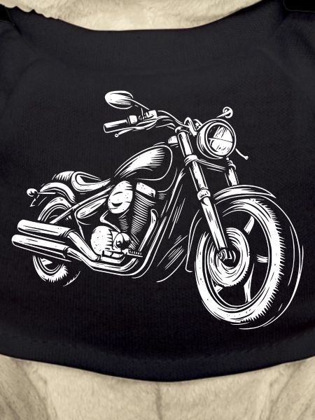 Motorcycle Motorcycle Rider